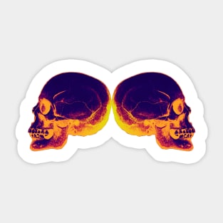 Profile Skull X4 INFRARED Sticker